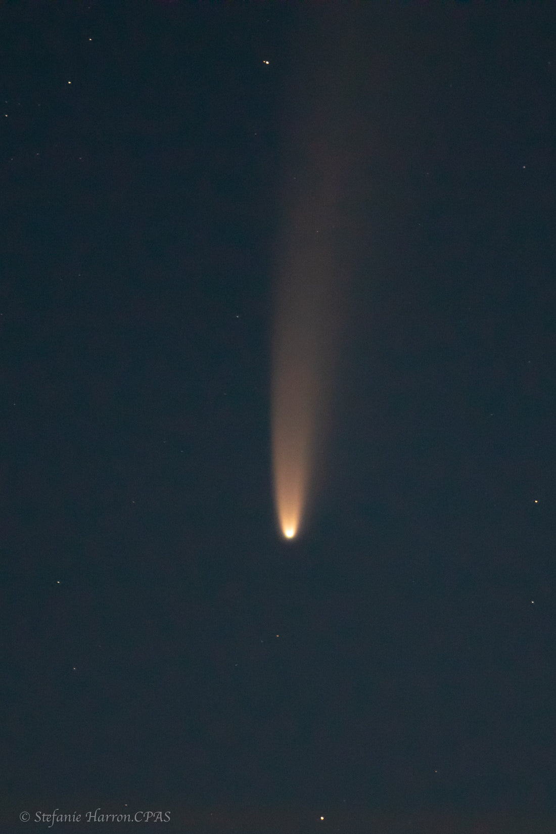 Neowise Comet & The Moon