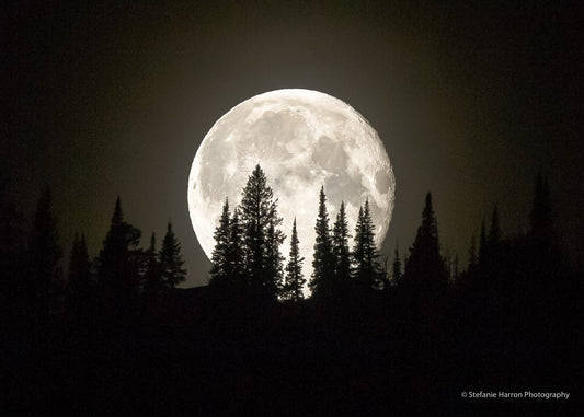 Mountain Ridge Moonrise