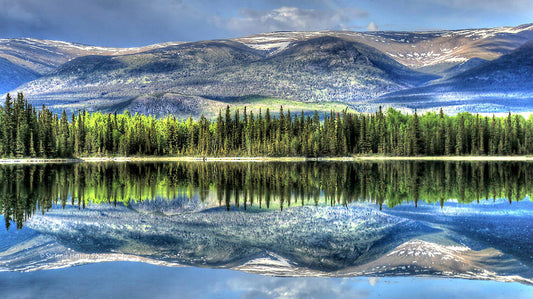 Boya Lake Reflections