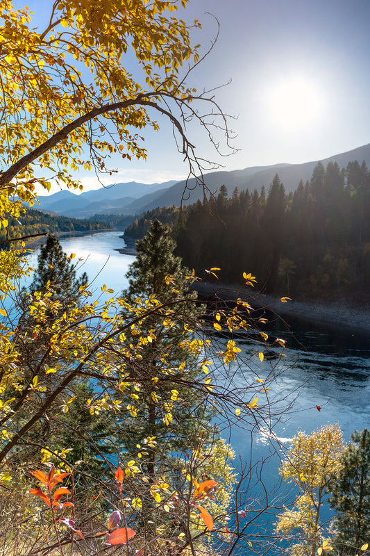 Autumn colours on the Columbia River in Castlegar